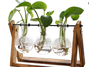 XXXFLOWER Plant Terrarium with Wooden Stand, Air Planter Bulb Glass Vase Metal Swivel Holder Retro Tabletop for Hydroponics Home Garden Office Decoration - 3 Bulb Vase